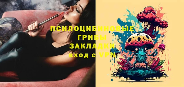 гашиш Богданович